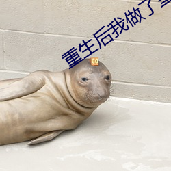 重生后我做了皇后