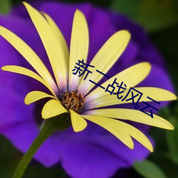 新二战风云