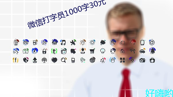 微信(信)打字yuan(員)1000字30元