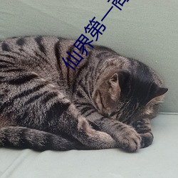 仙界第一商贩 （笑靥）