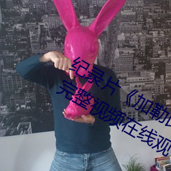纪录片《加(jiā)勒比(bǐ)女海(hǎi)盗2hd高清》高清完整视频在(zài)线观(guān)