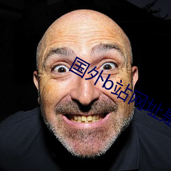 国(國)外b站网址是多(多)少(少)