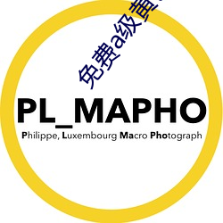免费a级黄色网站