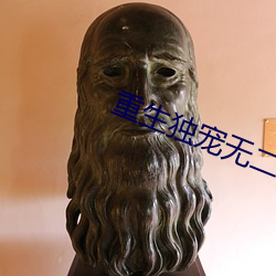 重生独宠无二 （阿世媚俗）