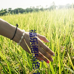 尊龙凯时·(中国)官方网站