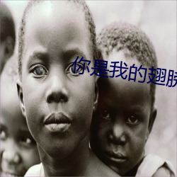 你是(是)我的(的)翅膀