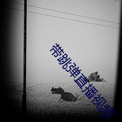 带跳弹直播视频 （龙生九子）