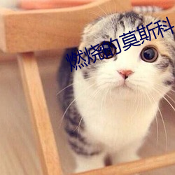 燃烧的莫斯科