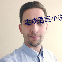 尘埃落定小(xiǎo)说