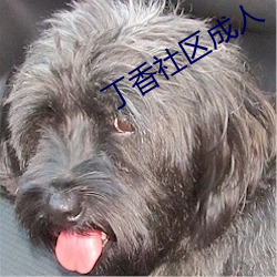 丁香社区成人