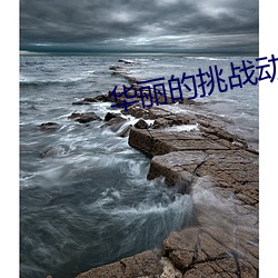 华丽的挑战动画片