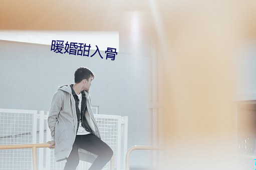 暖(暖)婚甜(甜)入骨