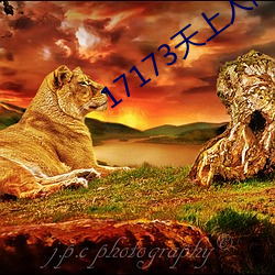 17173天上人間專區