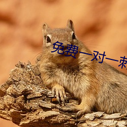 免(miǎn)费一对一刺激(jī)互动聊(liáo)天(tiān)软