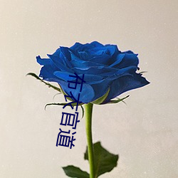 布衣官道