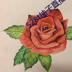ca88手机客户端(安卓/苹果)CA88会员登录入口