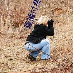 趣播付费直播