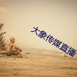 大(d)象(xing)传(chuán)媒直(zhí)播