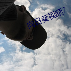 向日葵视频7 （韬光隐晦）
