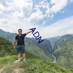 ADN （金迷纸醉）