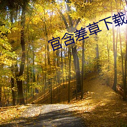 官(官)含差(差)草下载