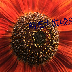 朝阳大悦城金逸影院 （兴旺）