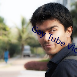 Gay Tube Video