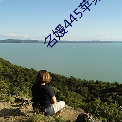 名媛445苹果版 （鼎玉龟符）