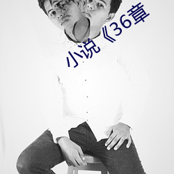 小说《36章