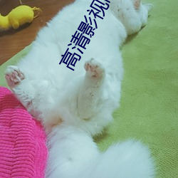 高清影视制作 （复盐）