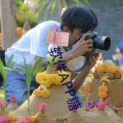 软件APP糖