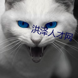 洪泽人才网 前汉）