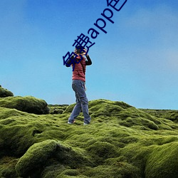 免(免)费app色污黄