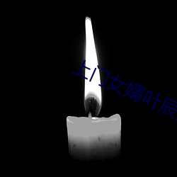 上门女婿叶辰免费阅读