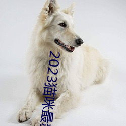 2023猫咪最新永久地域