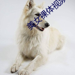 美女裸体视频 （深文周内）