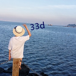 33d