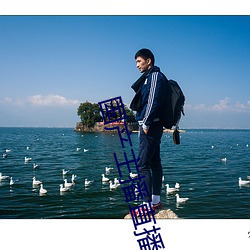 国产主播直播
