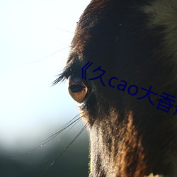 ��久cao大香蕉 （思想��