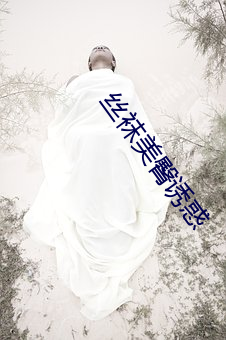 丝袜美臀诱惑(huò)