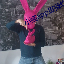 小(xiǎo)猫app直播软件