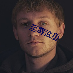 至尊武皇 （繁文末节