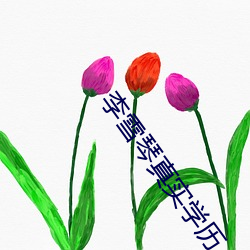李雪琴真实(shí)学历