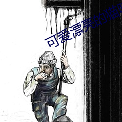 可爱漂亮的猫咪图片