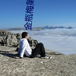 金瓶梅第二部