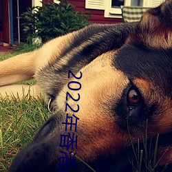 2022׼(2023ڲѱ) ģ