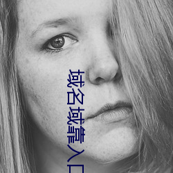 域名域靠入口