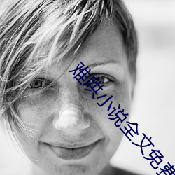 难(難)哄小说全(全)文免(免)费(費)阅读(讀)