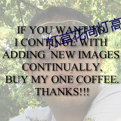 灯(dng)草花尚灯(dng)高清免费国语(y)