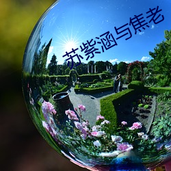 苏紫涵与(與)焦老(老)